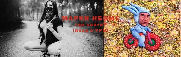 крисы Лабытнанги