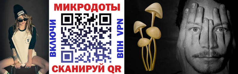 Галлюциногенные грибы GOLDEN TEACHER  Медвежьегорск 